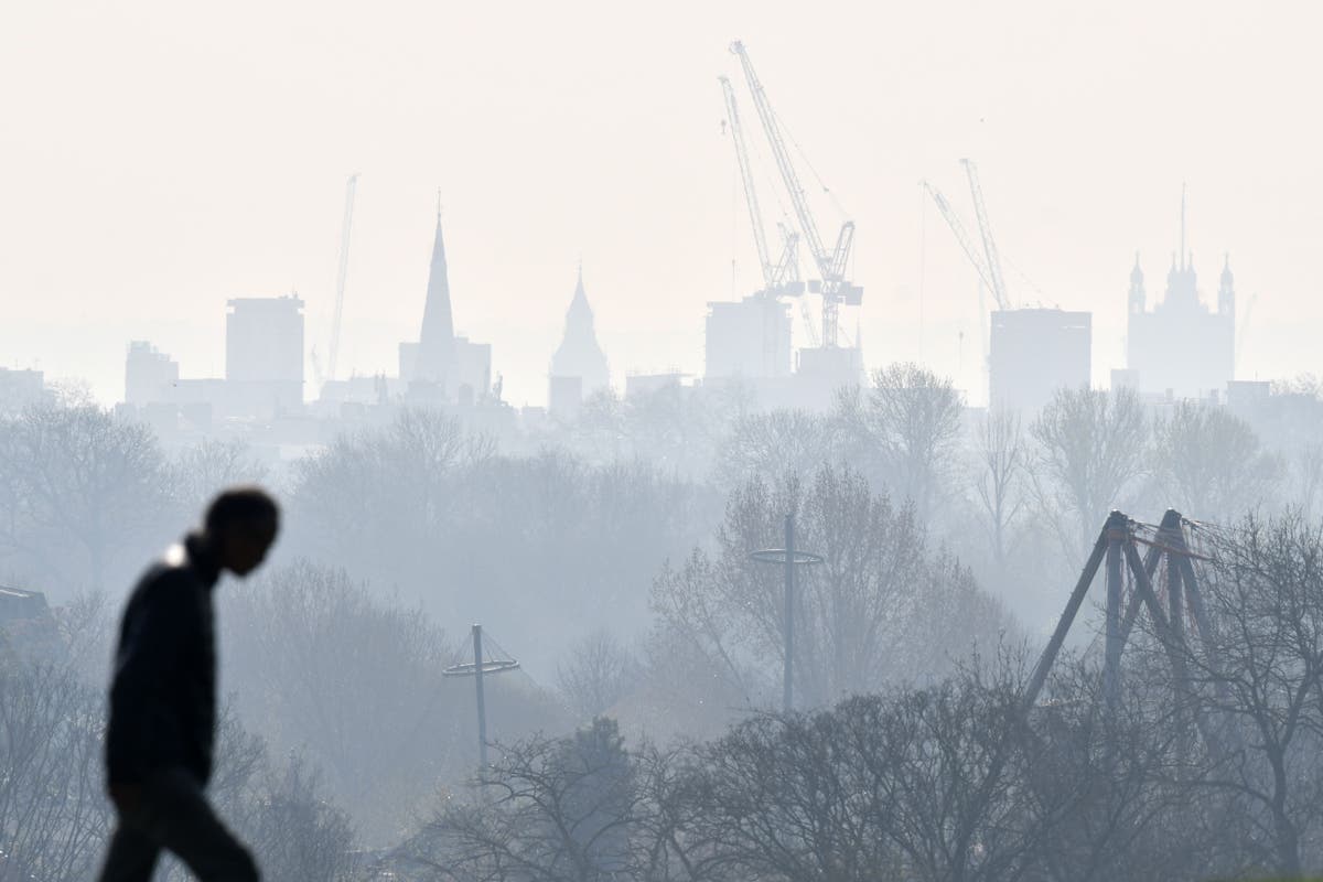 Government not doing enough to hit 2030 air pollution targets, warns NAO