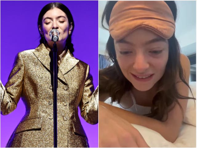 <p>Lorde addresses videos of her shushing people at past concerts</p>