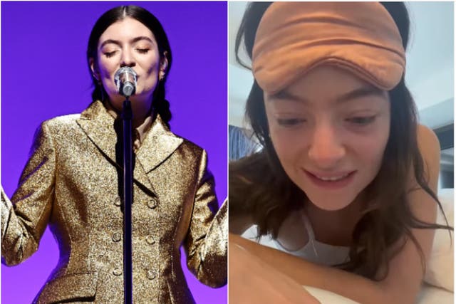 <p>Lorde addresses videos of her shushing people at past concerts</p>