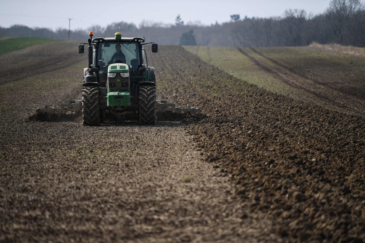 UK is ‘sleepwalking’ towards food shortages, farmers warn | The Independent