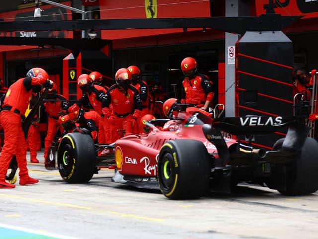 <p>Ferrari pitted Leclerc when he damaged his front wing after lightly hitting the wall</p>