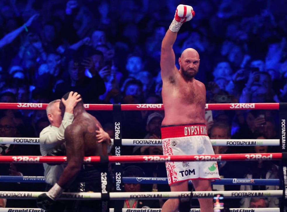 <p>Tyson Fury has vowed to retire following his stoppage win over Dillian Whyte</p>