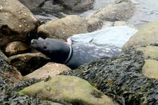 The story of Putin, as told by those in the room with him