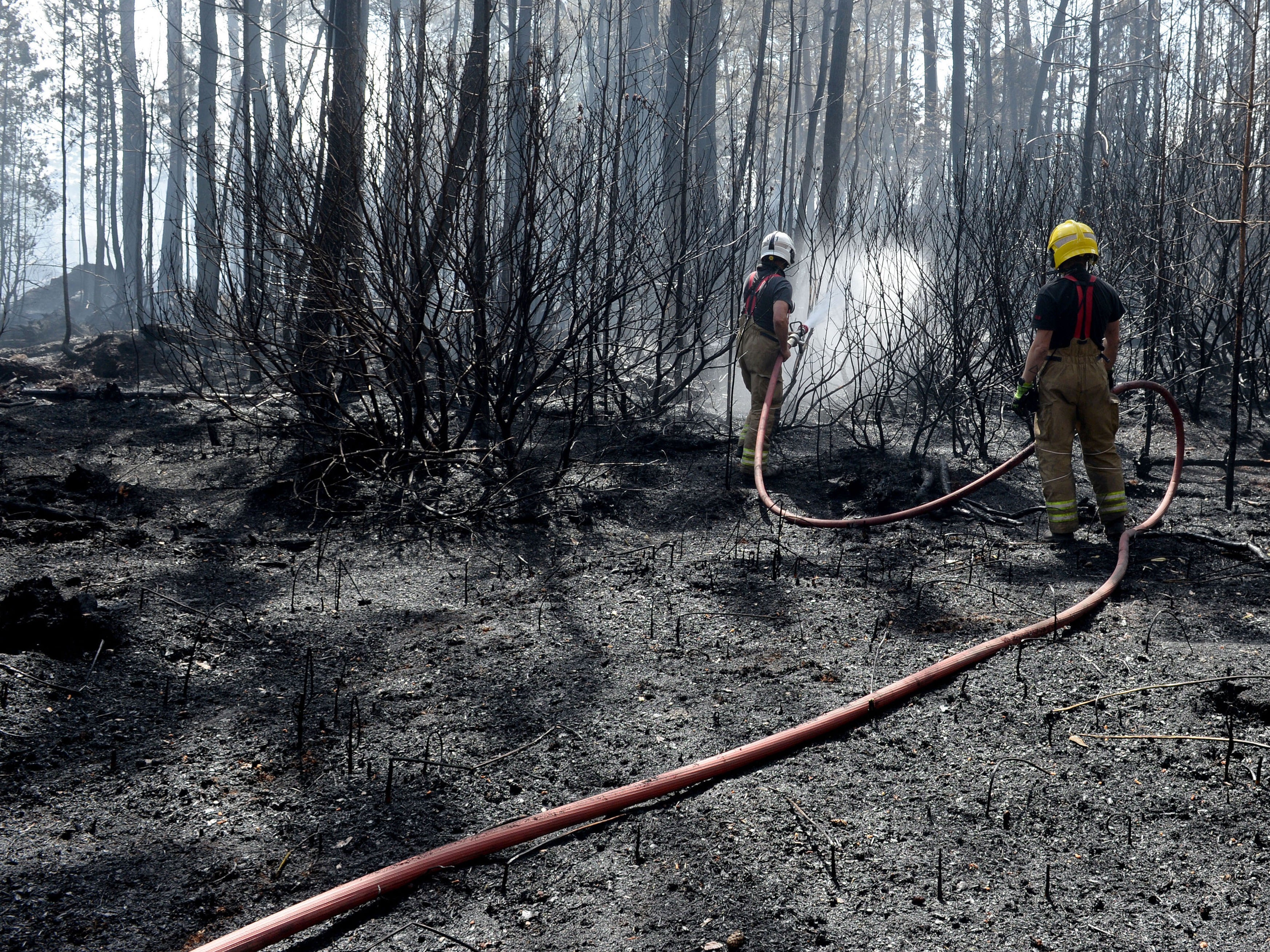 Firefighters tackle the blaze at Wareham Forest in May 2020