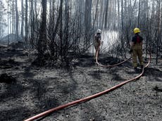 The UK needs to wake up to the growing threat of wildfires