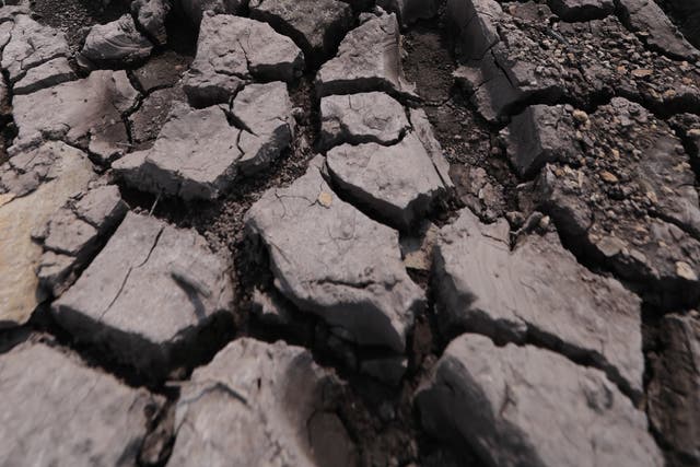 Tierra seca en la represa Los Laureles, que abastece de agua a Tegucigalpa, Honduras, 22 de abril de 2022