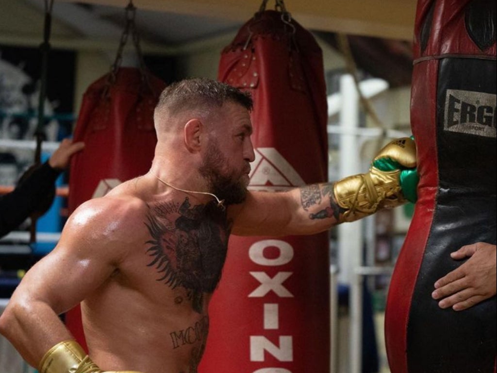 ‘Catch you soon’: Conor McGregor teases UFC comeback with more training photos