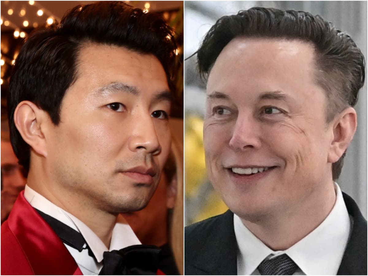 Marvel star Simu Liu divides fans after criticising Musk’s $44bn Twitter acquisition