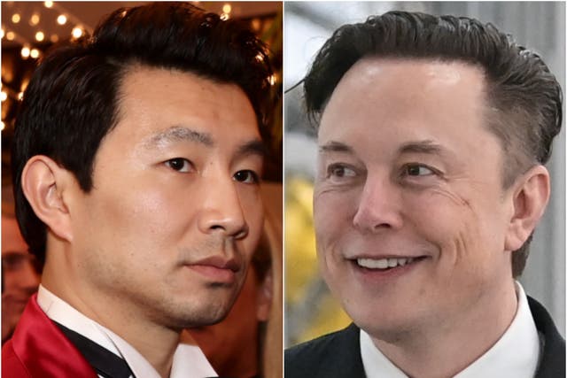 <p>Simu Liu and Elon Musk</p>