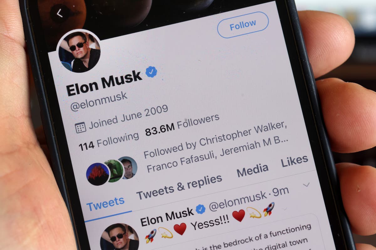 Twitter chief tells staff he does not ‘know which direction the platform will go’ after Elon Musk buyout