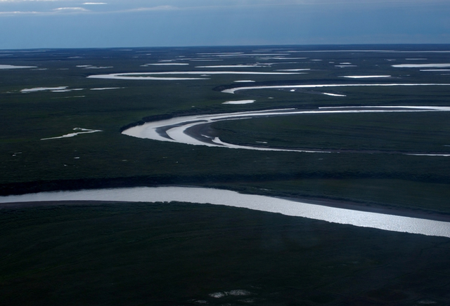 <p>La Reserva Nacional de Petróleeo de Alaska también es el hogar de una parte importante de la fauna silvestre </p>