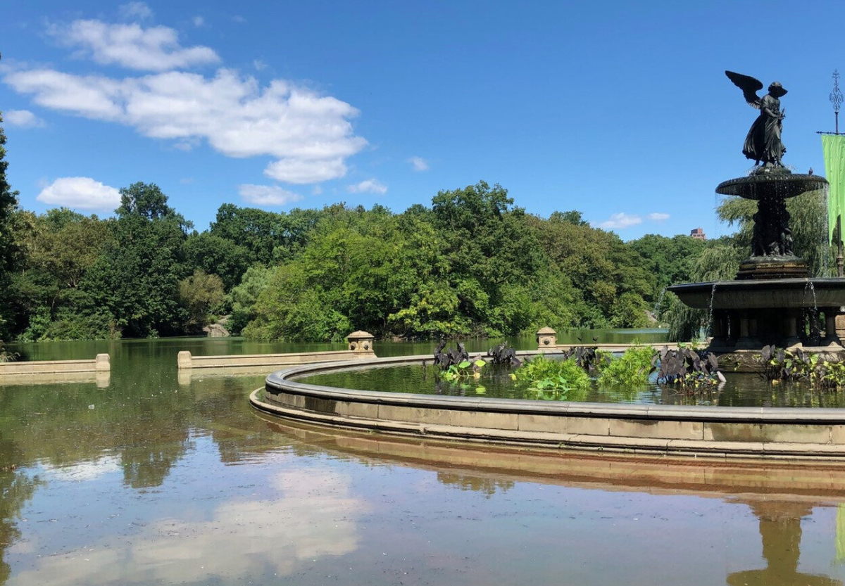 Central Park is now a climate change laboratory
