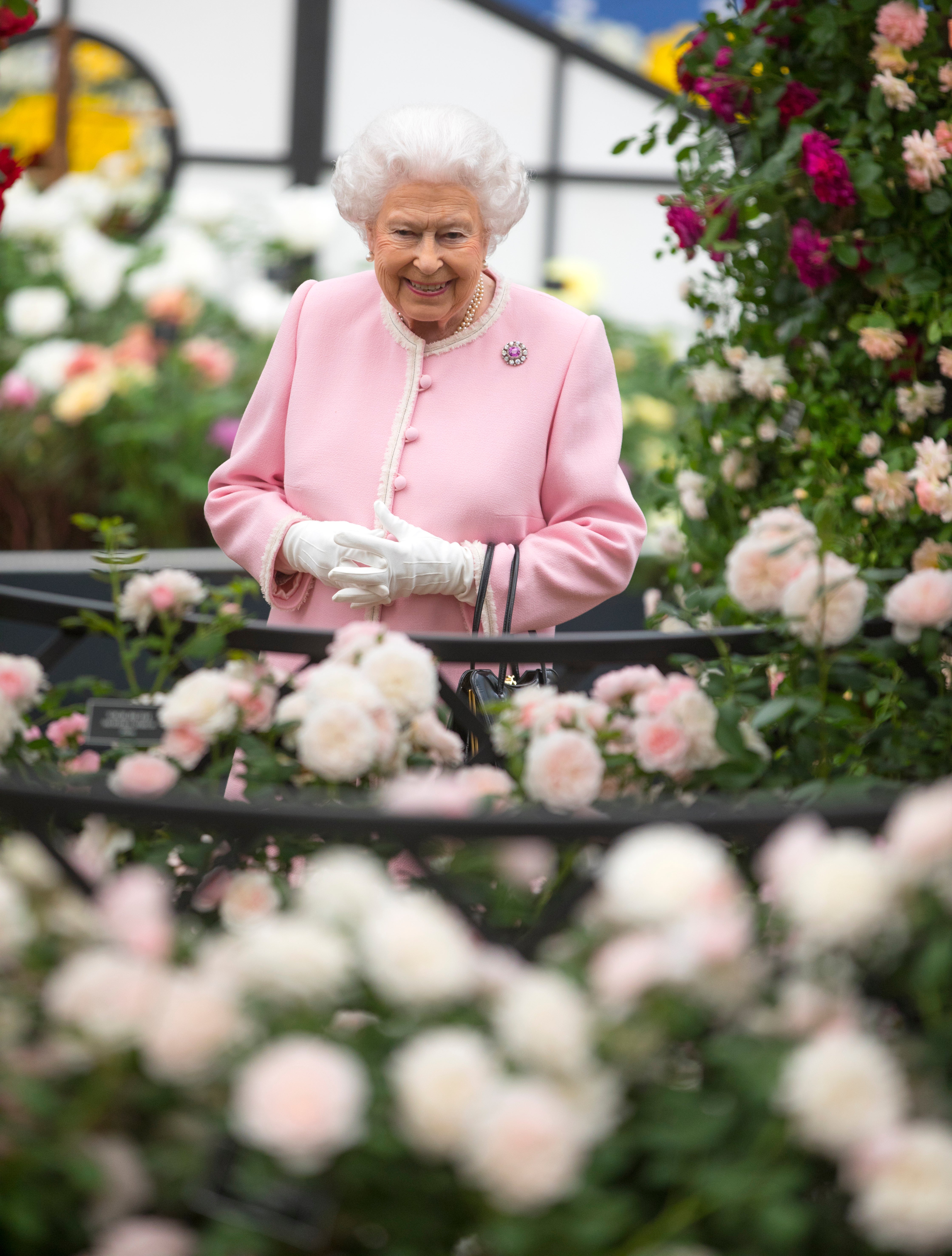 The Queen at the Chelsea Flower Show (Richard Pohle/The Times/PA)