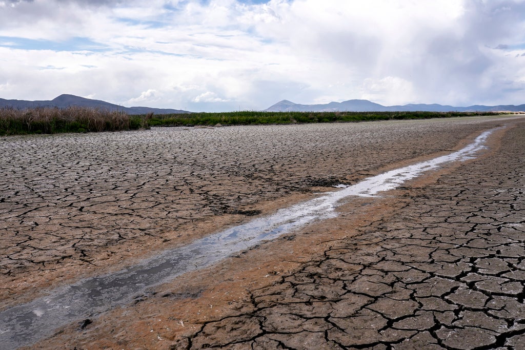 Southern California takes unprecedented step to declare water shortage emergency