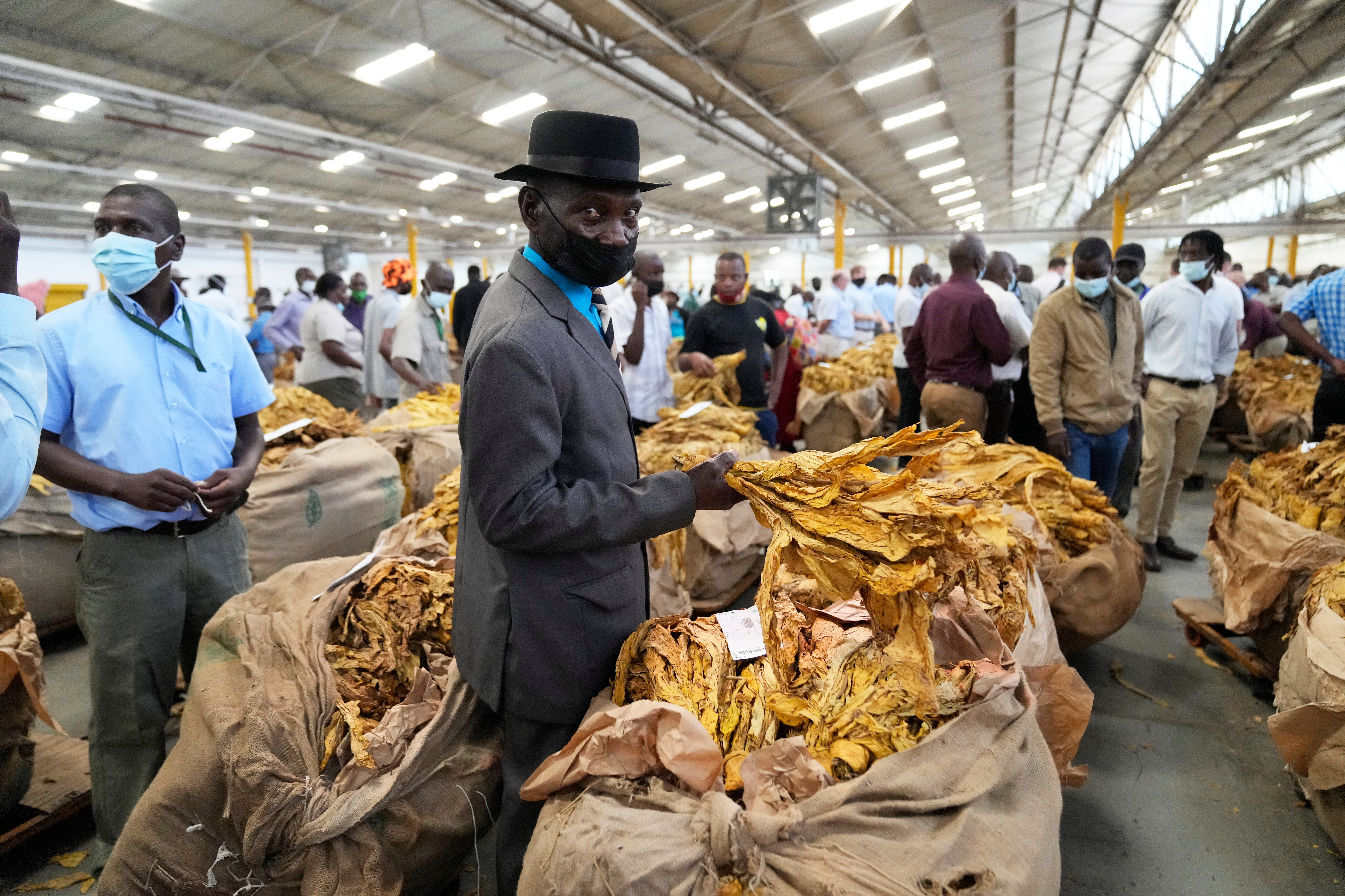 Zimbabwe Tobacco Concerns