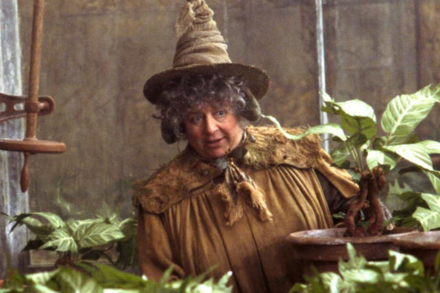 <p>Miriam Margolyes plays Professor Sprout in the Harry Potter series </p>