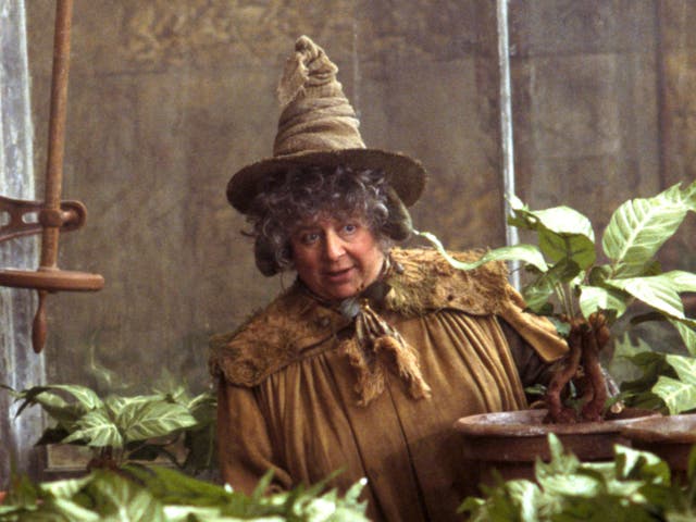 <p>Miriam Margolyes has appeared in the Harry Potter film series </p>