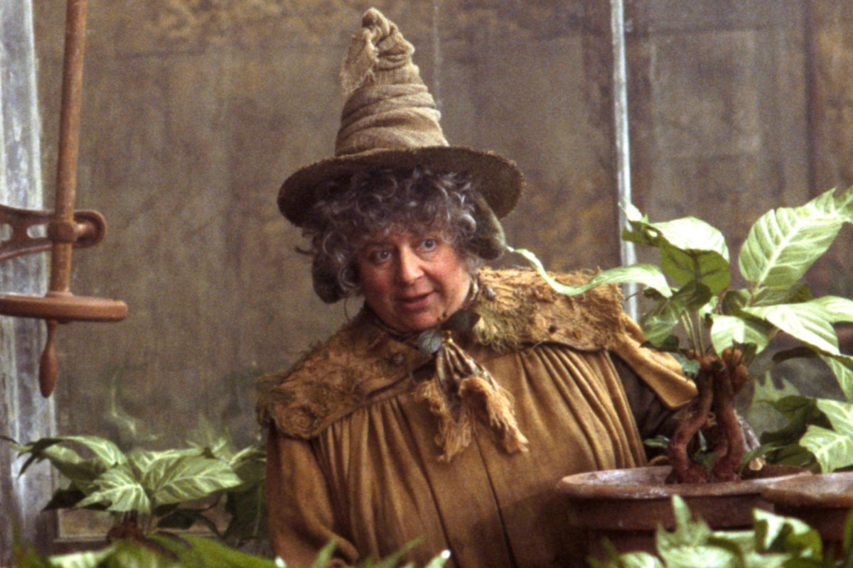 Miriam Margolyes admits she&rsquo;s made almost 10 times her Harry Pottery salary on Cameo 