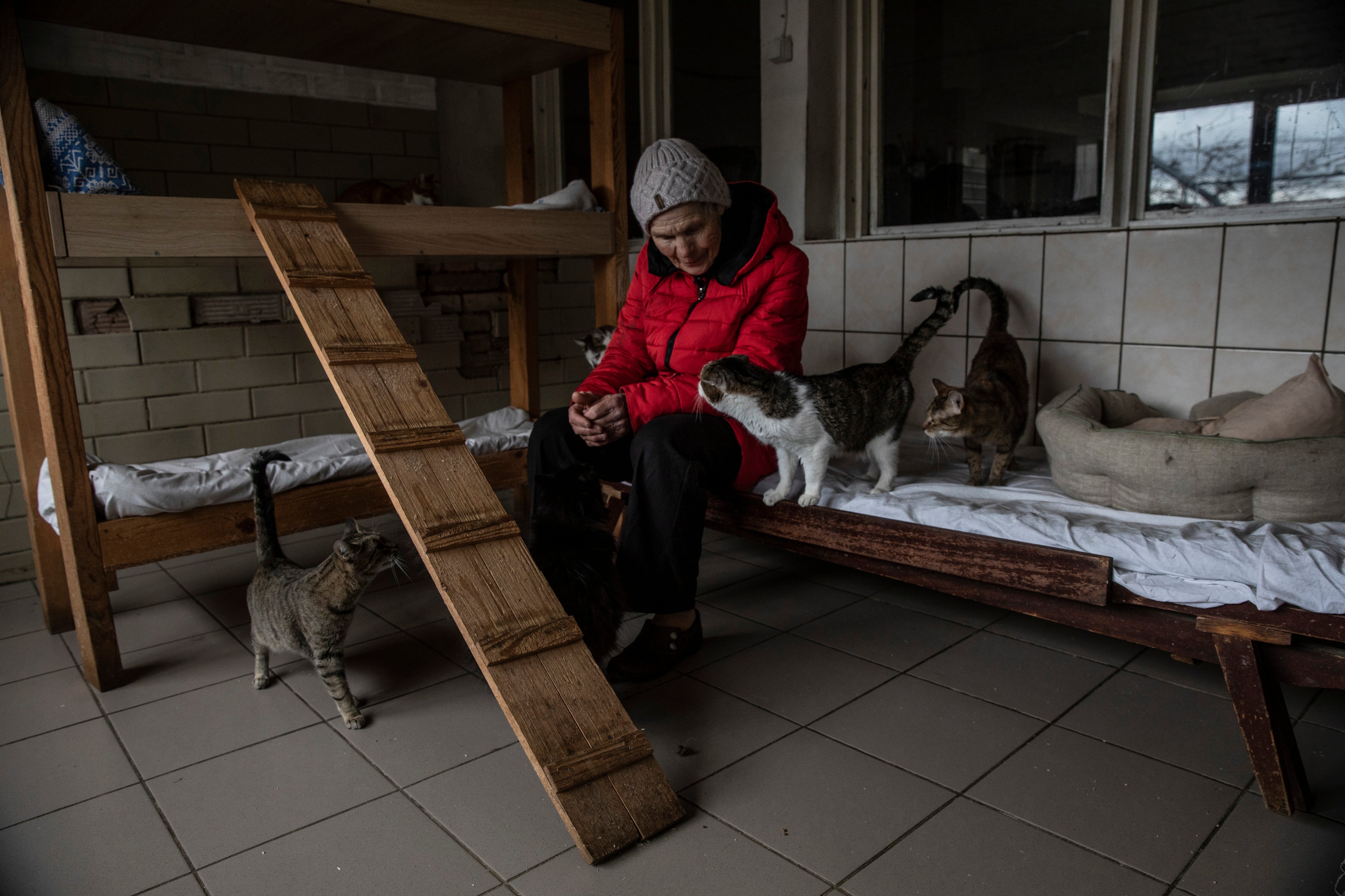 Asya Serpinska visits some of the many cats living at the Hostomel animal shelter