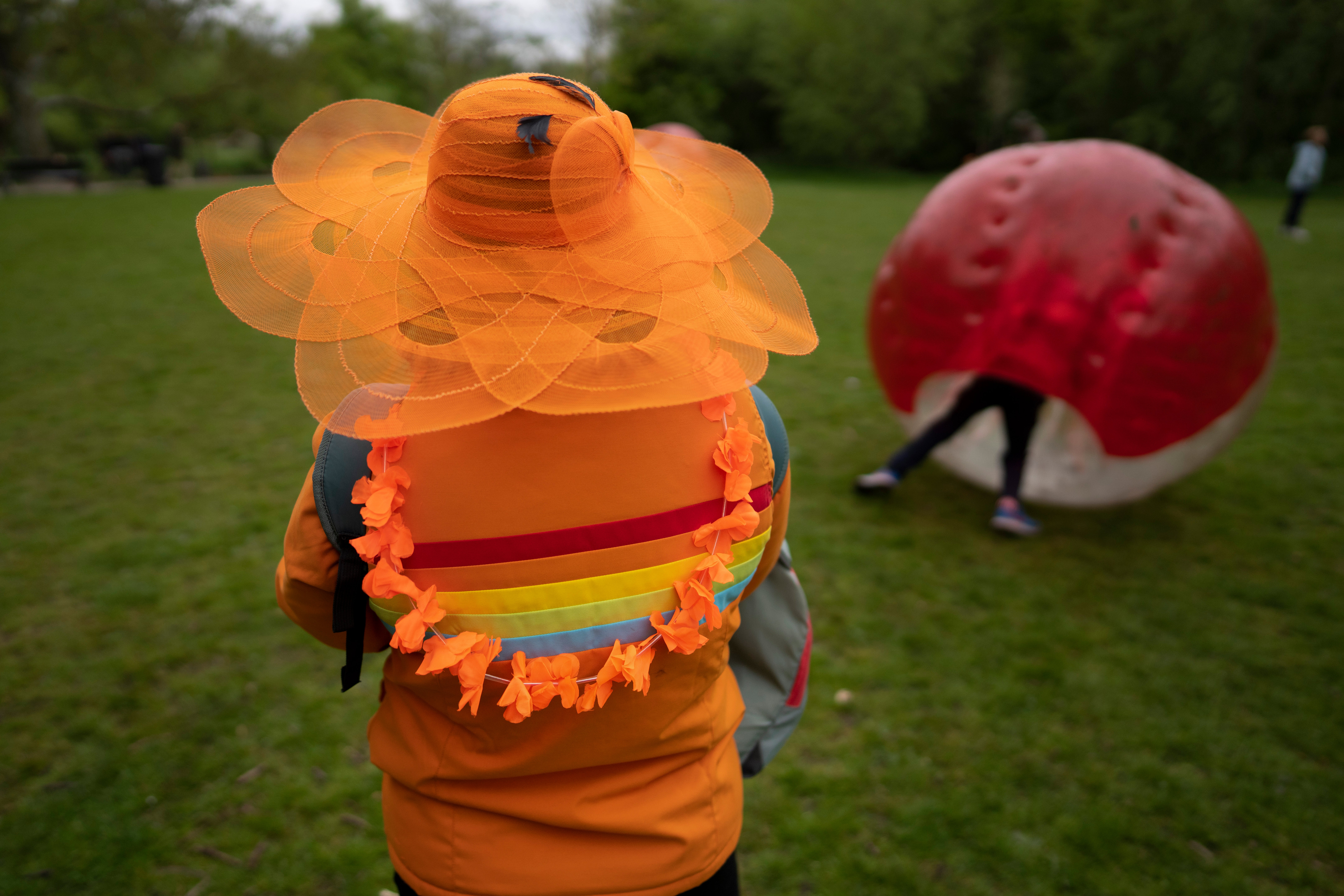 Netherlands King's Day