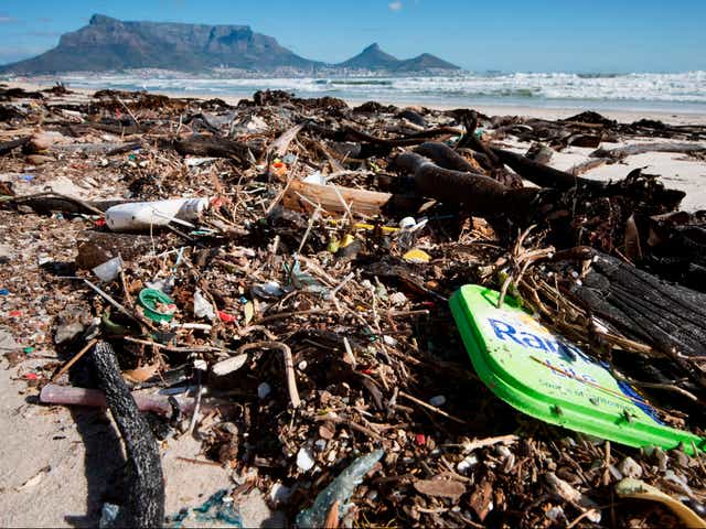 <p>Around 10 billion tonnes of plastic have been produced in the world </p>