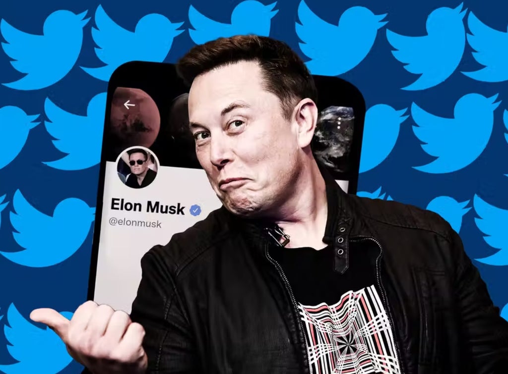 Twitter revenue reaches $1.2bn and daily users increase to 229m amid Elon Musk takeover