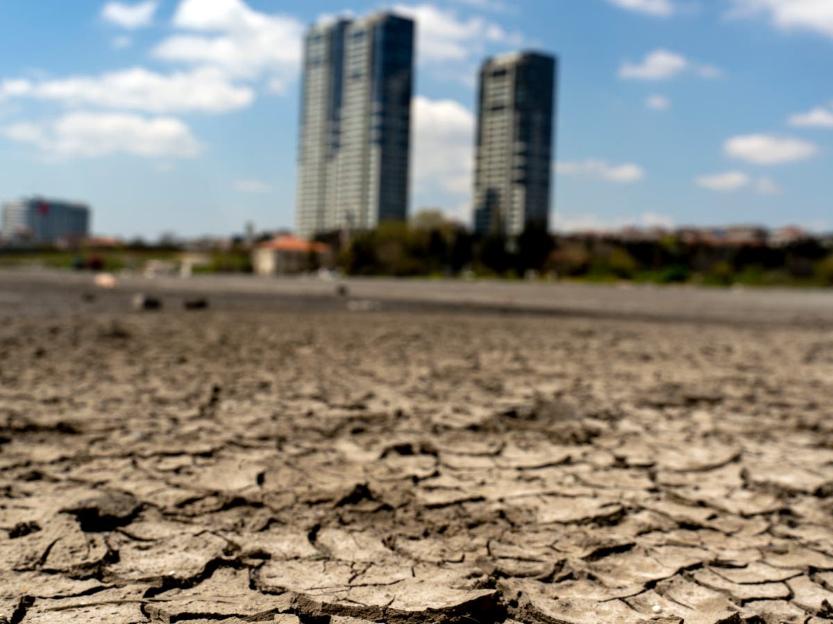 Высушенная почва. Высушенная земля. Суша земли. Desertification.