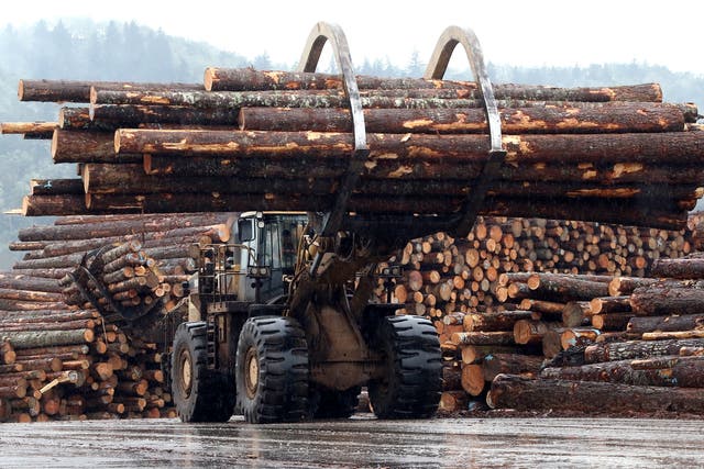 Oregon Timber Verdict Overturned