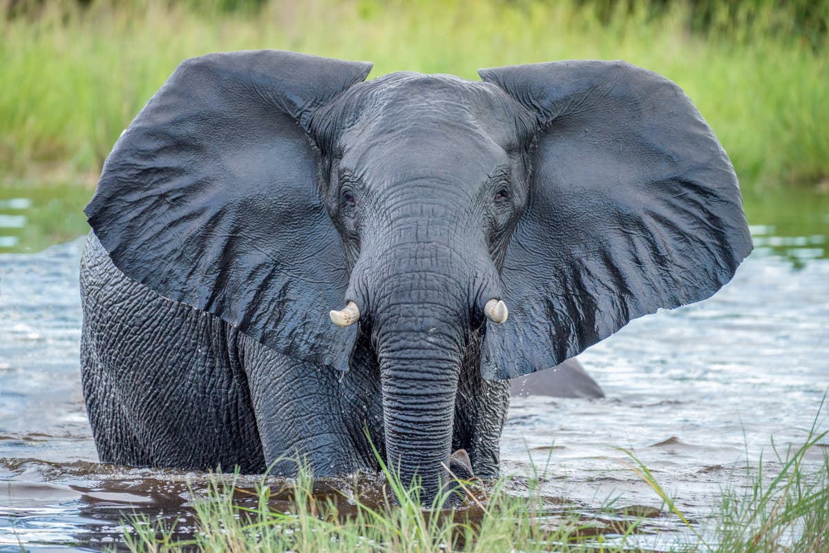 Community conservancies help mitigate climate change impacts
