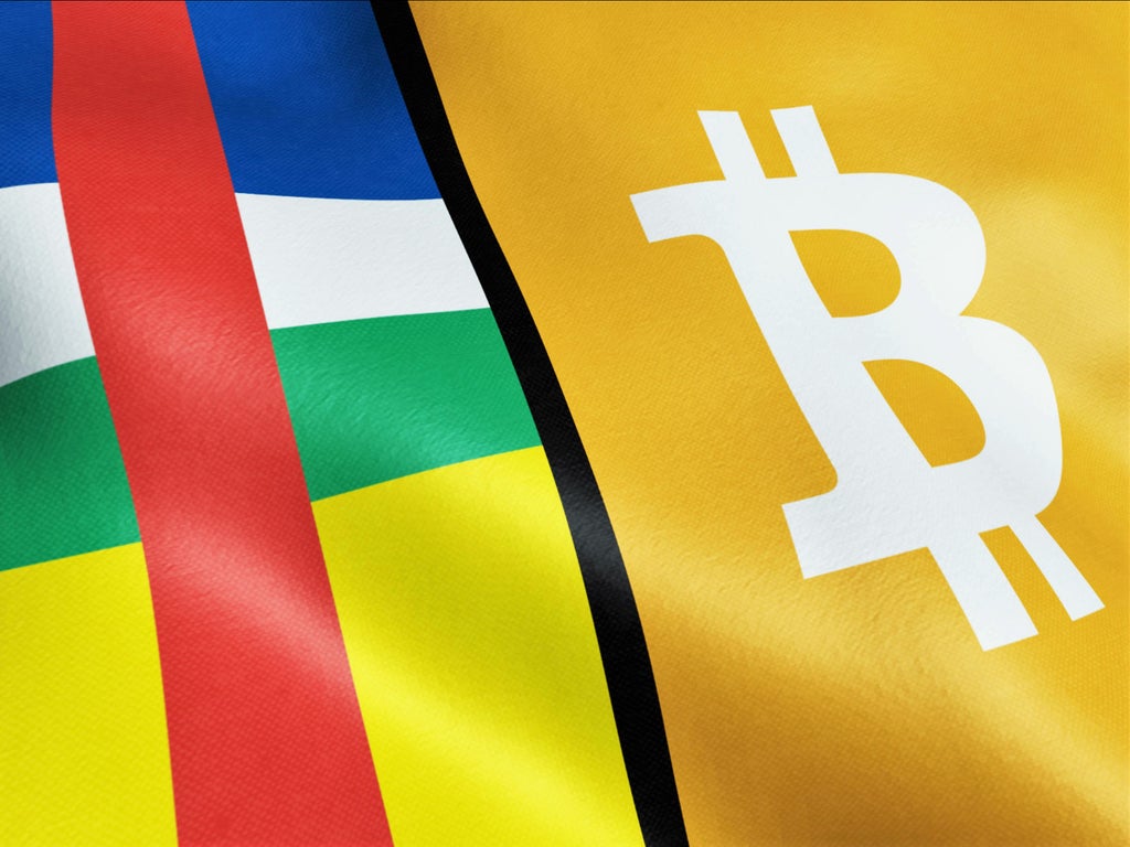 Bitcoin voted official currency of Central African Republic