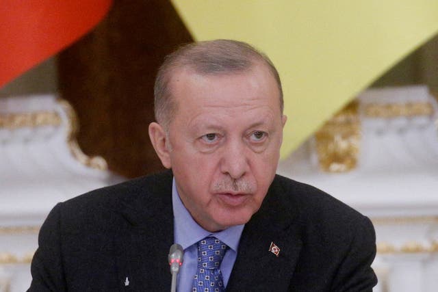 <p>File photo: Turkish president Recep Tayyip Erdogan speaks during a news conference in Kyiv, Ukraine, in February</p>