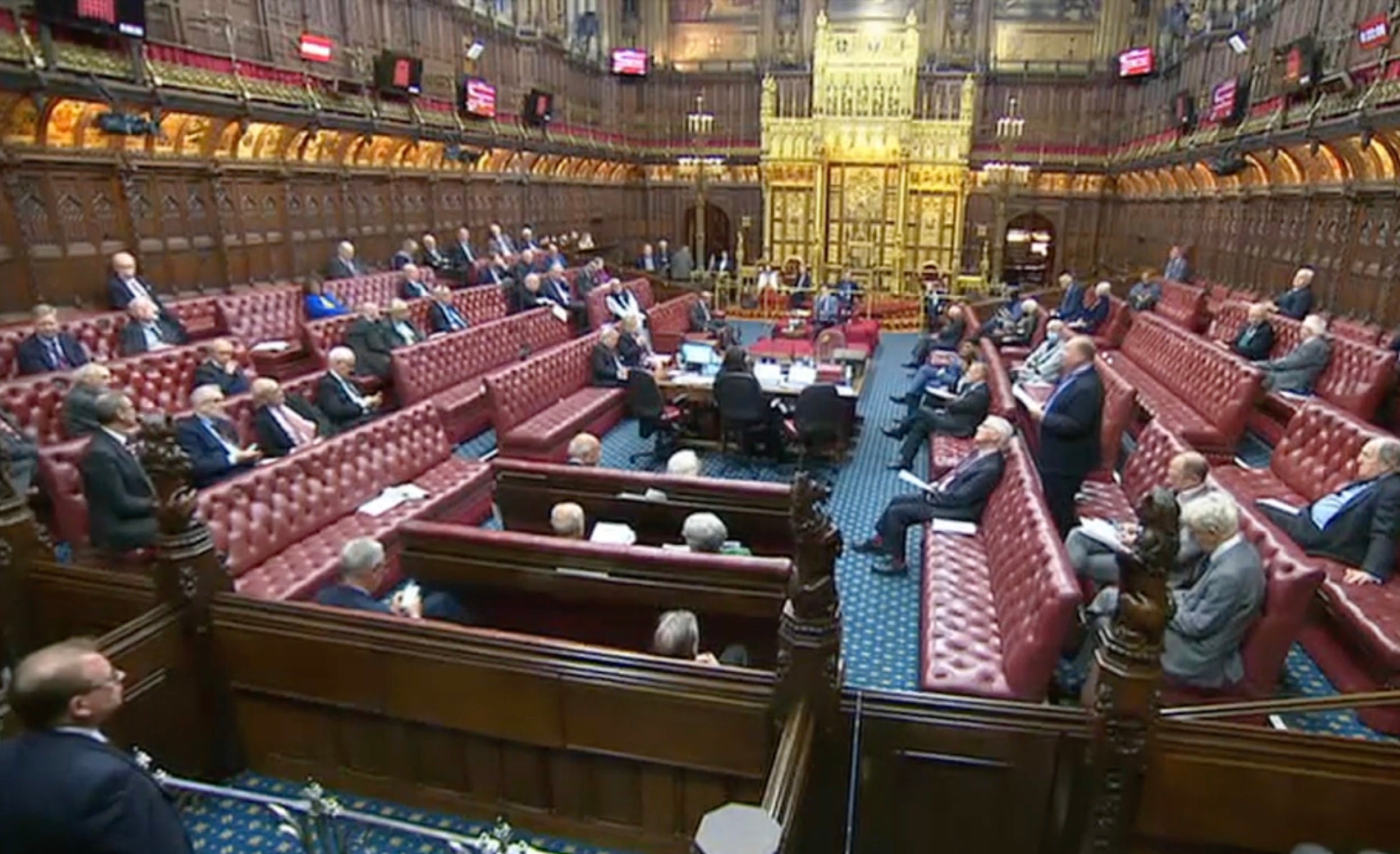 The vote slipped through the Lords on Wednesday night