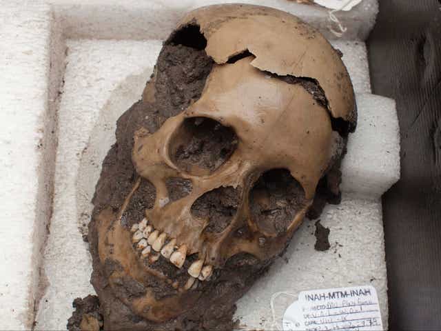 Uno de los cráneos encontrados en Chiapas