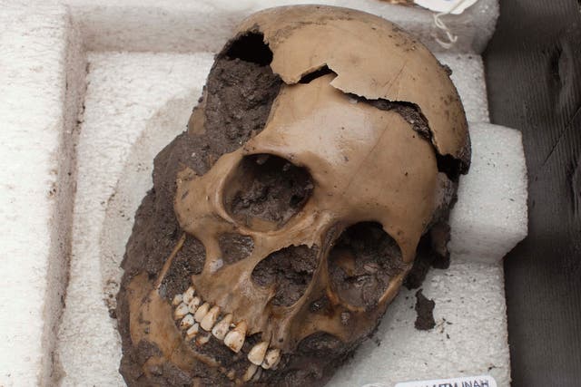Uno de los cráneos encontrados en Chiapas