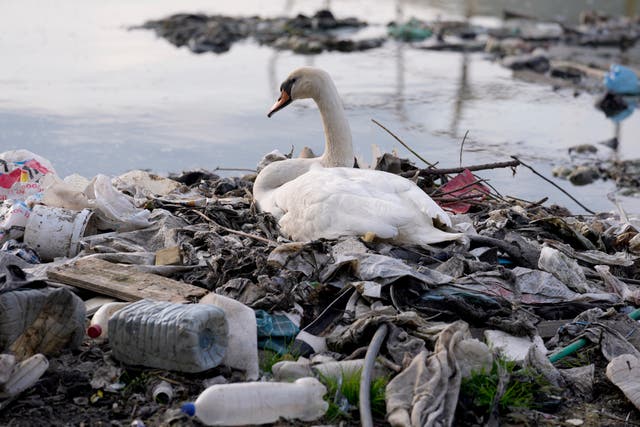 <p>‘Even if we recycled better and tried to manage the waste as much as we can, we would still release more than 17 million tons of plastic per year into nature,’ scientist says </p>