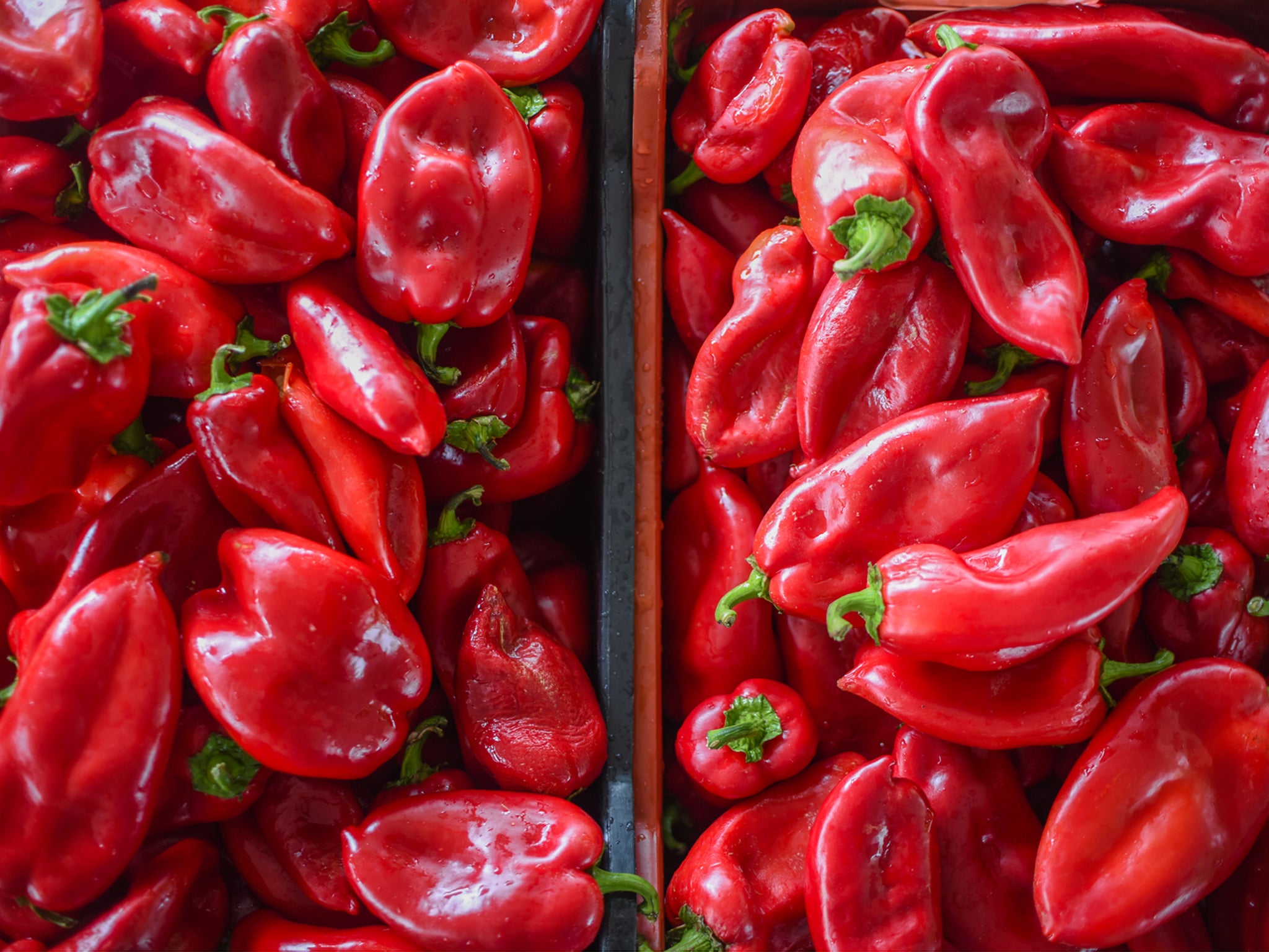 Freshly washed Balkan peppers ready to be charred in the aivar-making process