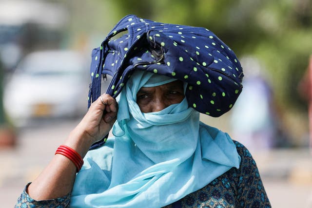 <p>A woman uses her bag to protect herself from the sun in New Delhi </p>