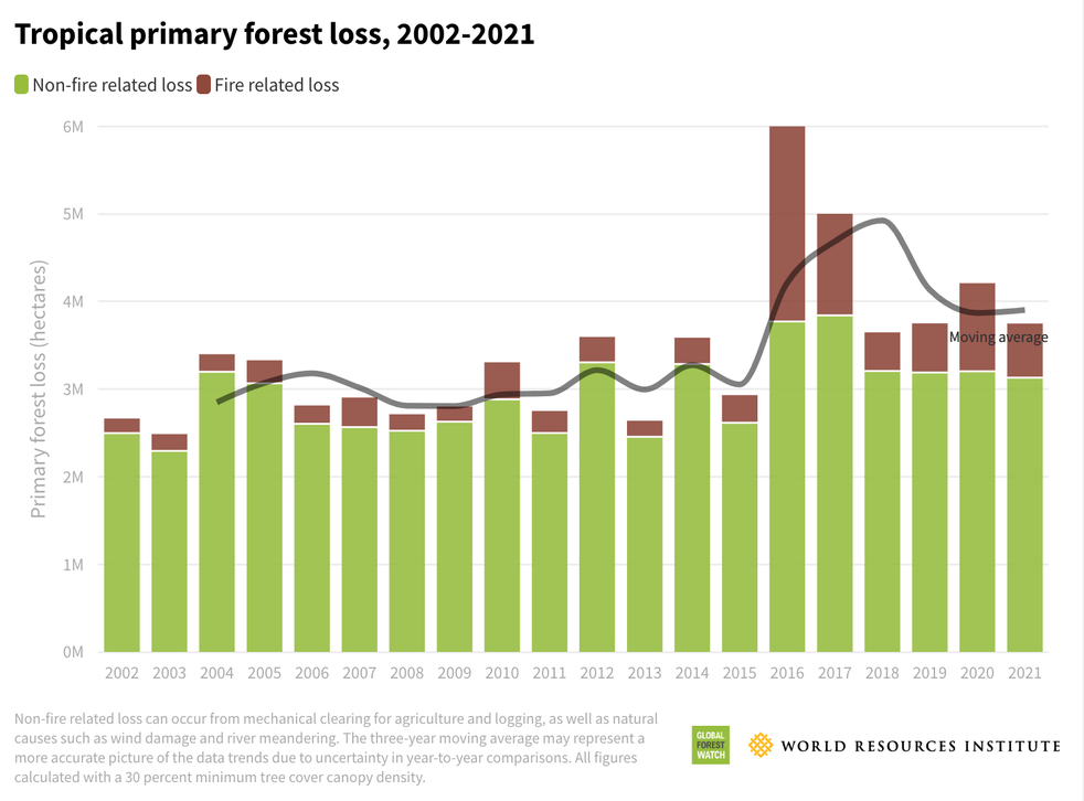 World Lost Tropical Forest At Rate Of 30 Central Parks Every Day In 21 The Independent World Lost Tropical Forest At Rate Of 30 Central Parks Every Day In 21 The Independent