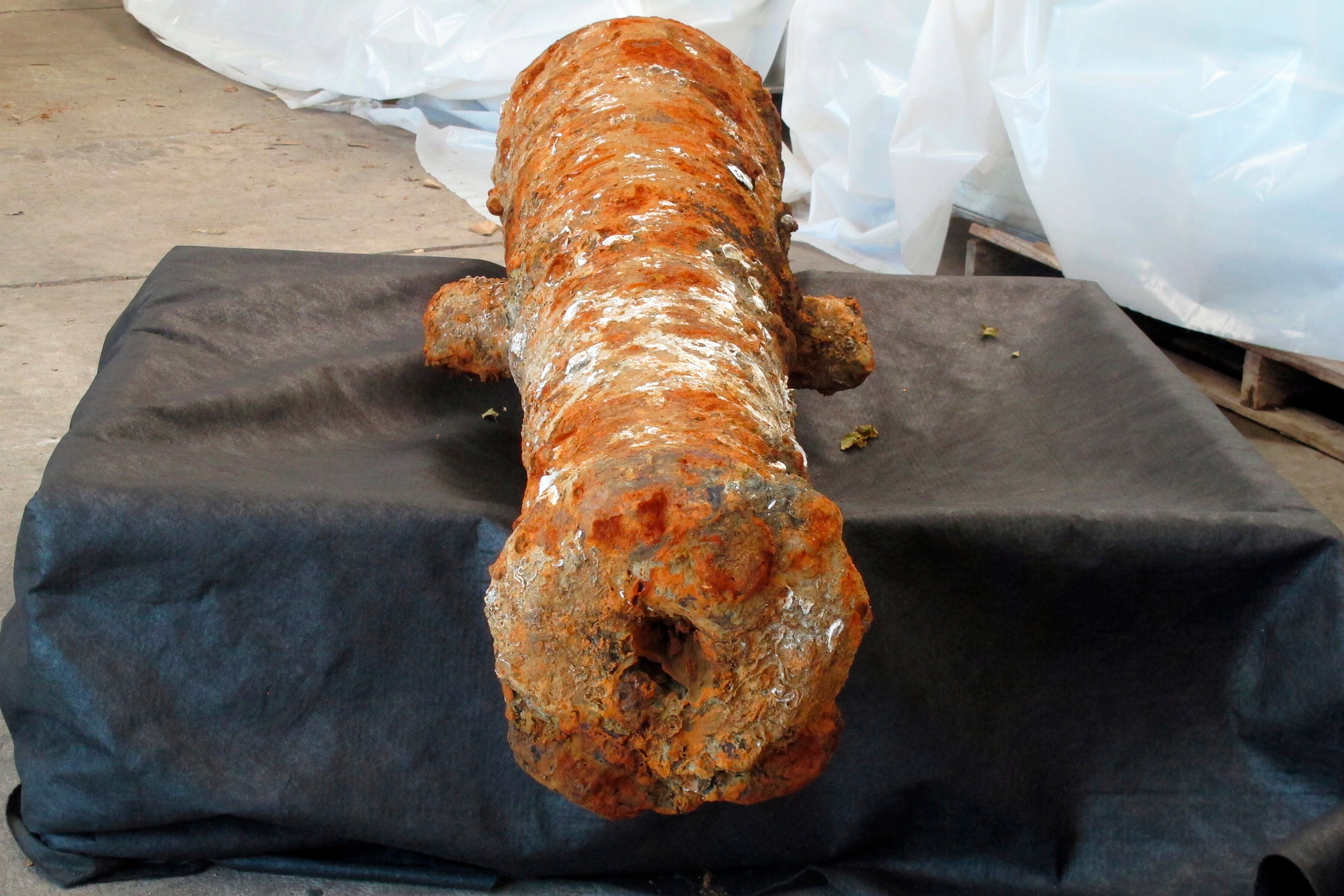 Cannons Found American Revolution