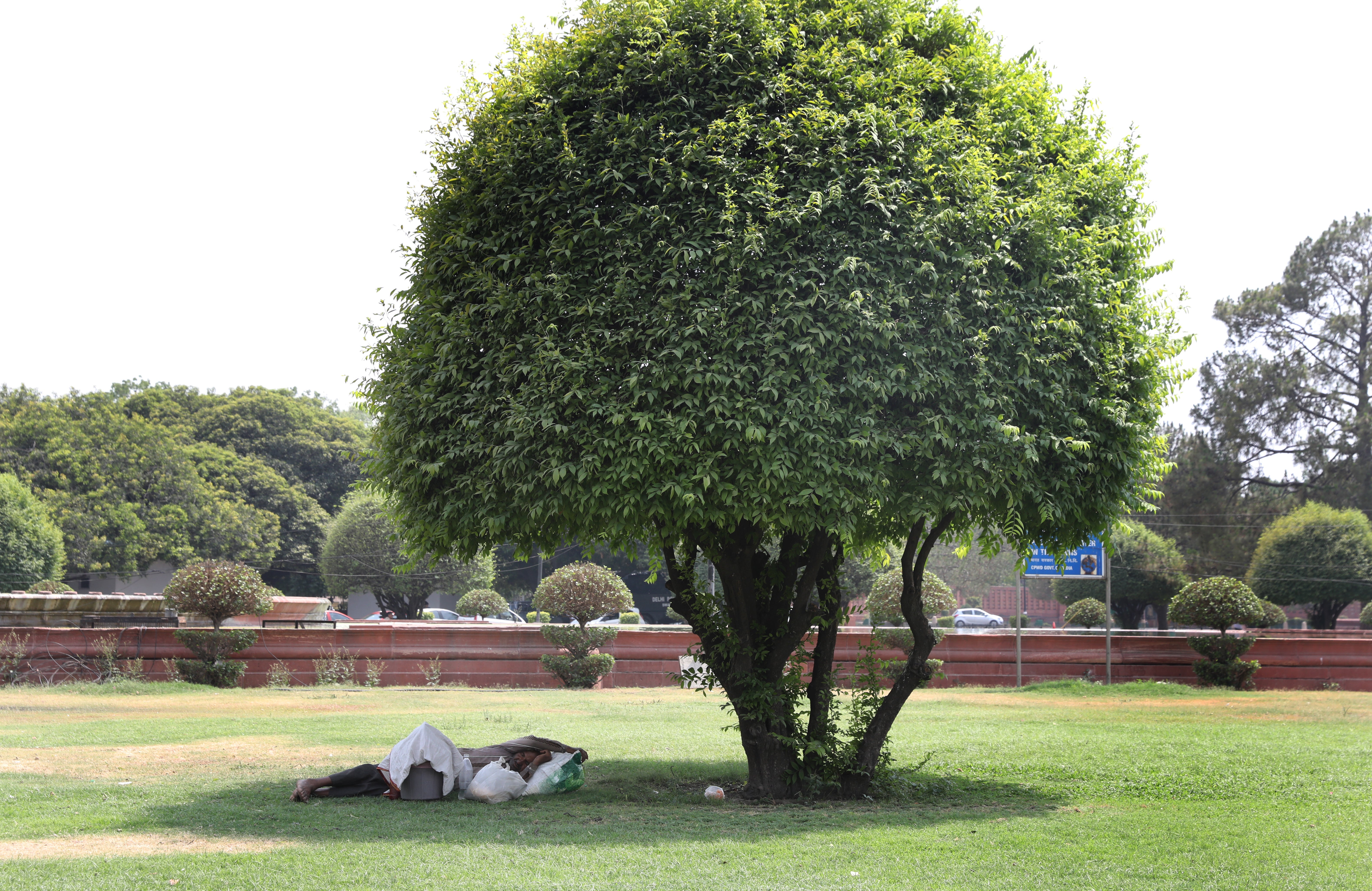 An Indian man takes a nap under the shade of a tree as the temperature rises in New Delhi, 28 April 2022