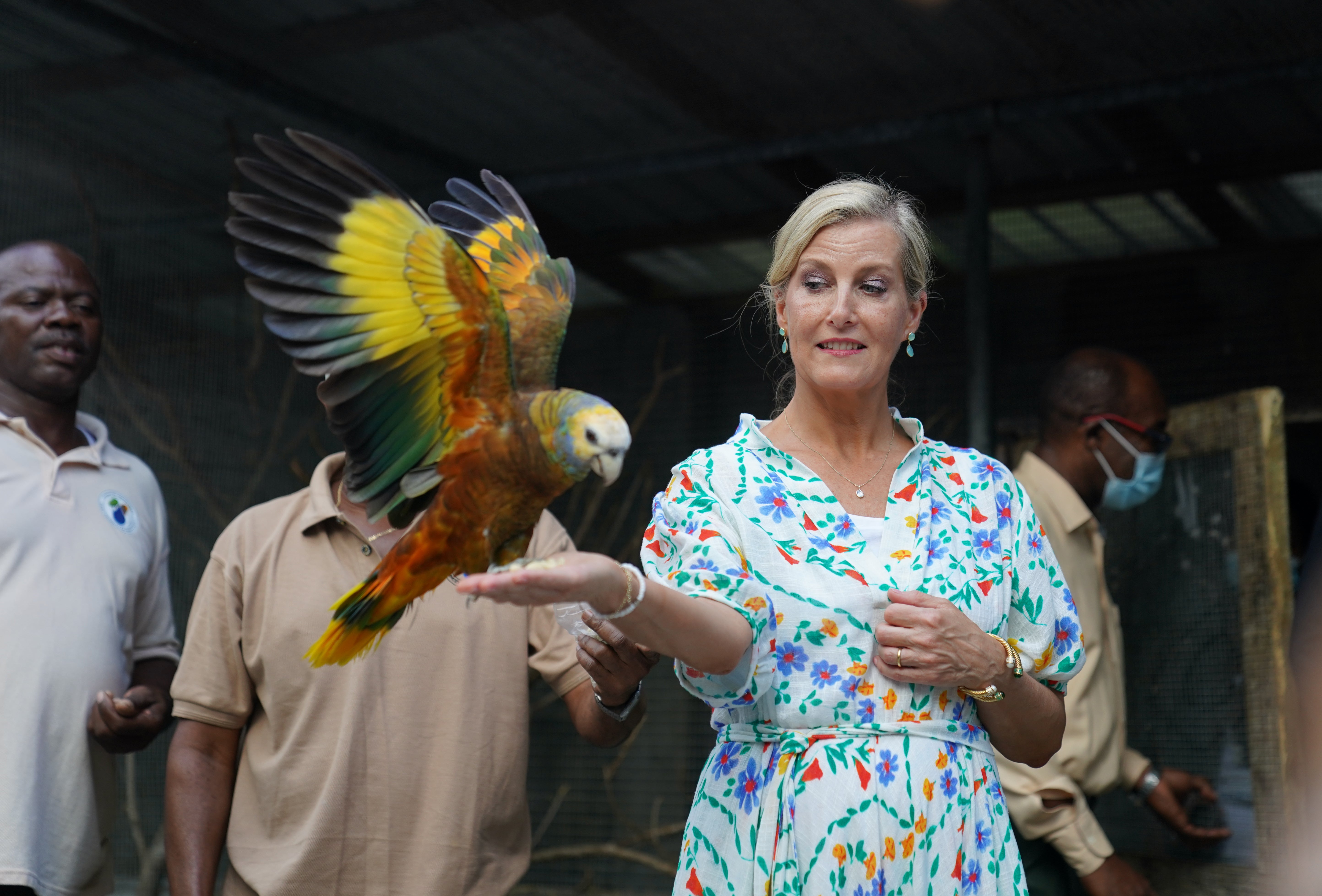 Sophie with St Vincent’s national bird, the Amazona guildingii at the Botanical Gardens in St Vincent and the Grenadines (Joe Giddens/PA)