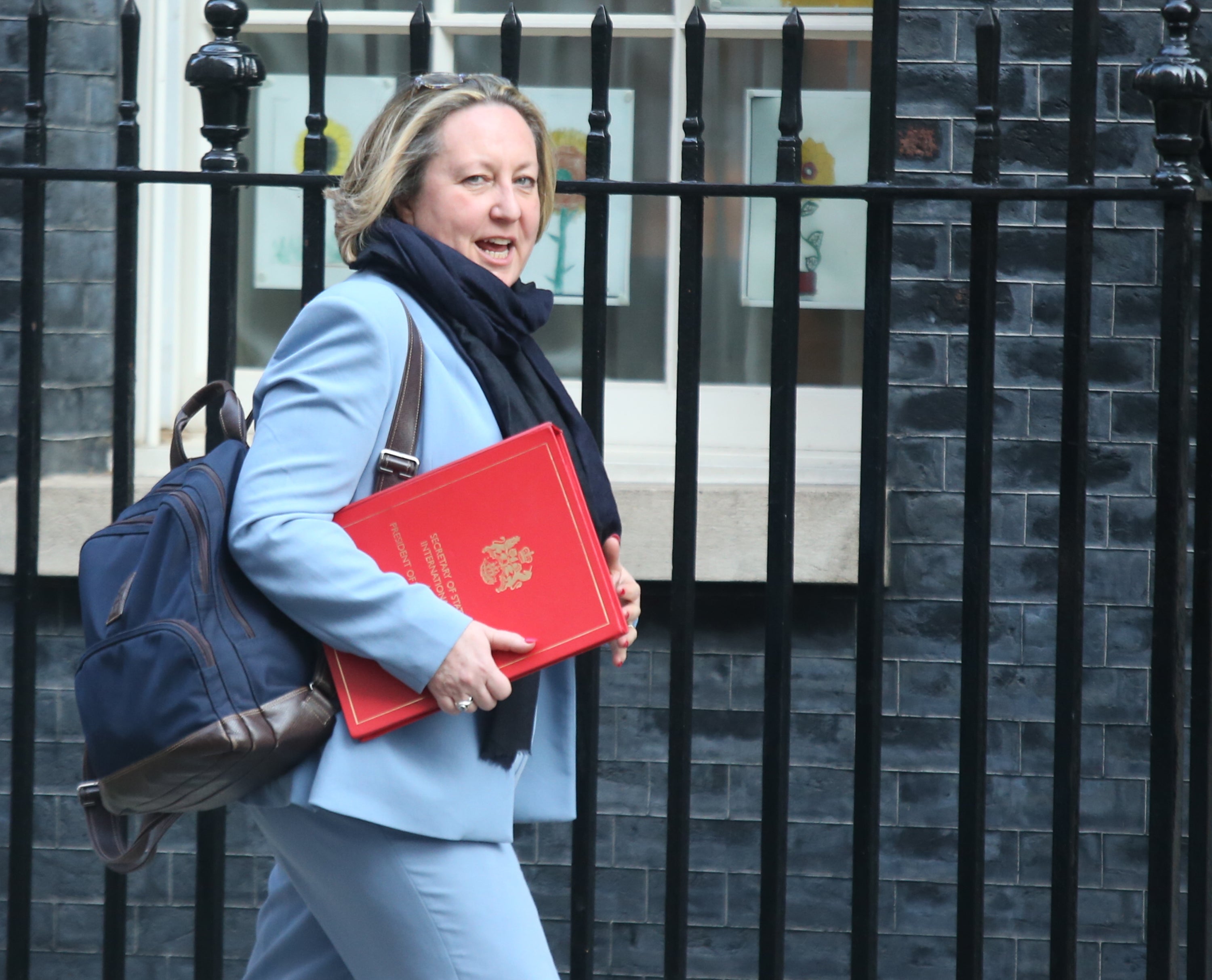 International Trade Secretary Anne-Marie Trevelyan said she was pinned against a wall by a male MP (James Manning/PA)