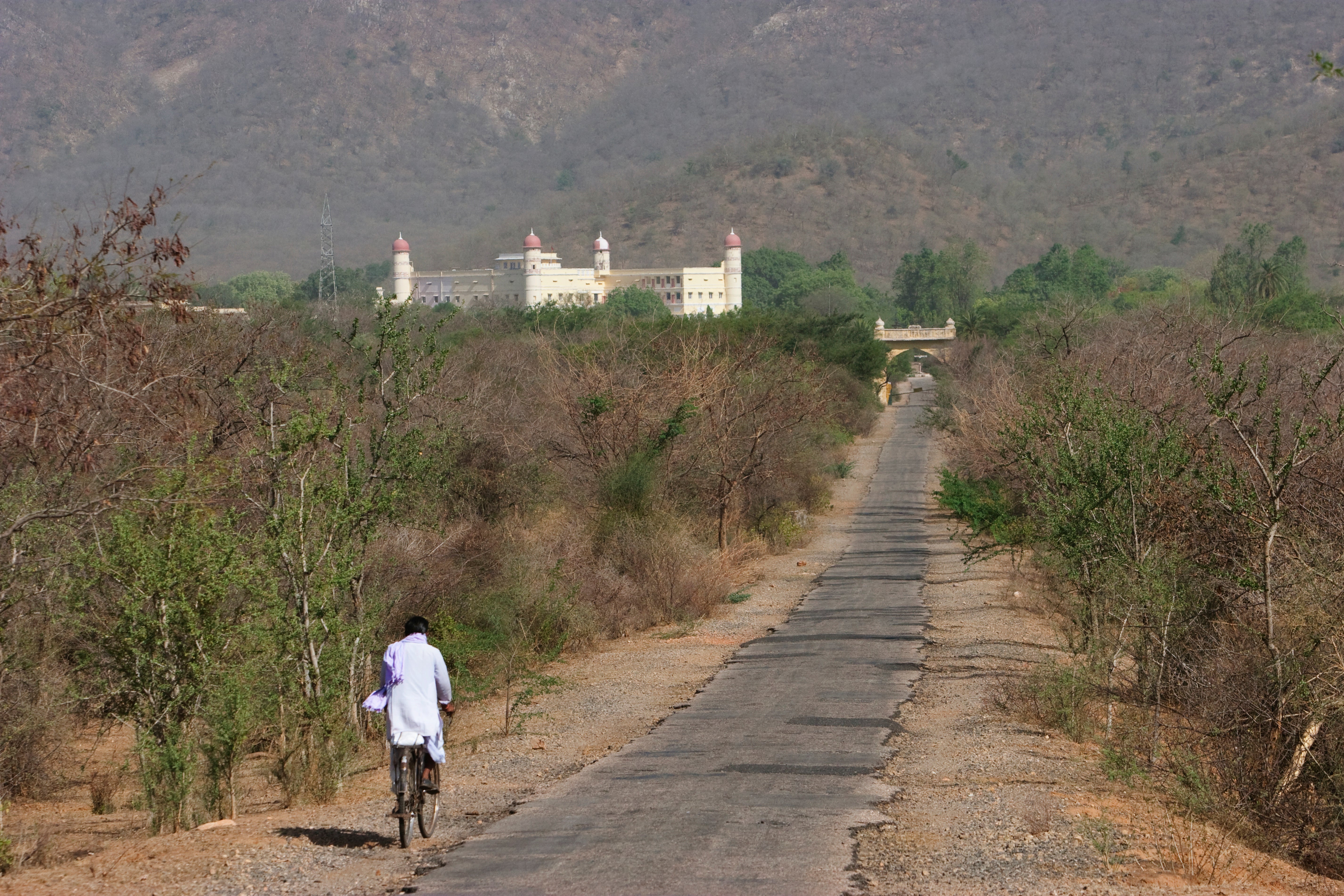 The road leading to Sariska palace, on the periphery of the national park, in Rajasthan, India