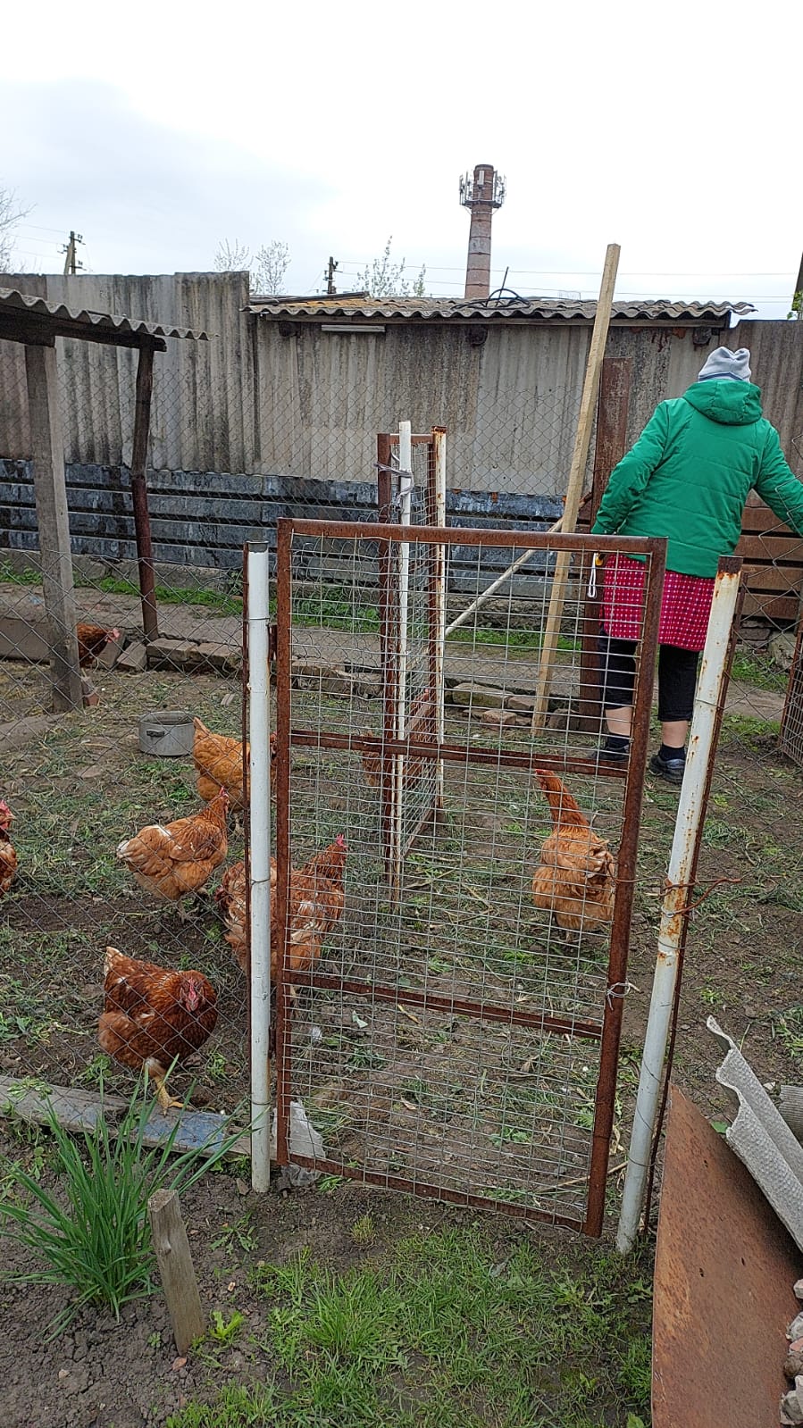 A chicken coop outside the house of Khalid Bin Jaah’s Ukrainian host family