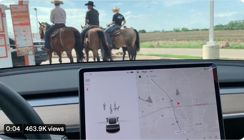 A Tesla owner in Texas asked Elon Musk whether the electric vehicles would ever recognise horses at a drive-thru