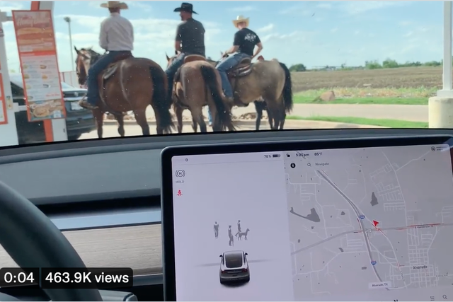 <p>A Tesla owner in Texas asked Elon Musk whether the electric vehicles would ever recognise horses at a drive-thru </p>