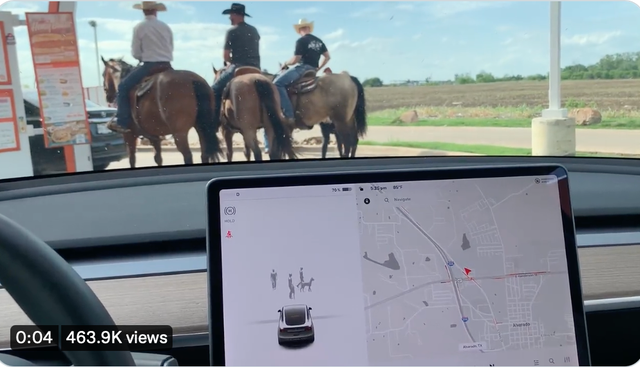 <p>A Tesla owner in Texas asked Elon Musk whether the electric vehicles would ever recognise horses at a drive-thru </p>