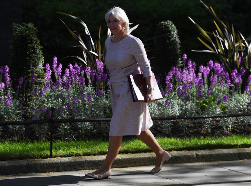 <p>Every media appearance by Nadine Dorries, the minister in charge of the media, has been a car crash</p>
