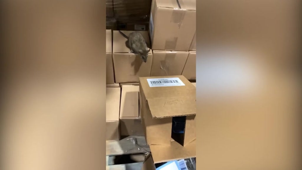 Video shows rats at a Family Dollar distribution facility