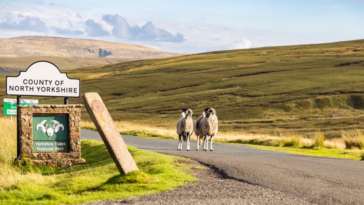 I’m a ‘boomeranger’ – I couldn’t bear life in the countryside, so I moved back to London